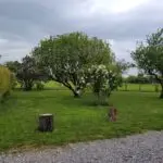 Le Gîte des Laurettes - Verger, parc arboré et clôturé